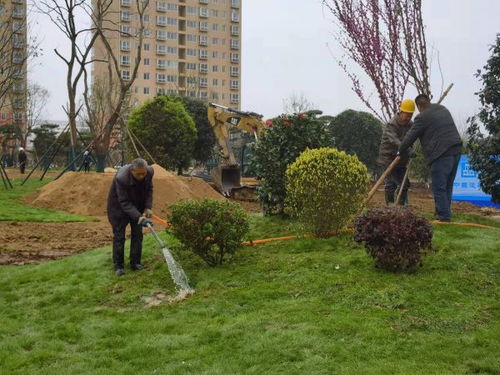 南阳市宛城区春季园林绿化提升工作成效显著展现绿化工程新气象