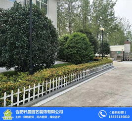 合肥绿化养护 合肥轩晨园艺公司 园林绿化养护